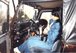 Colleen's Old Jeep